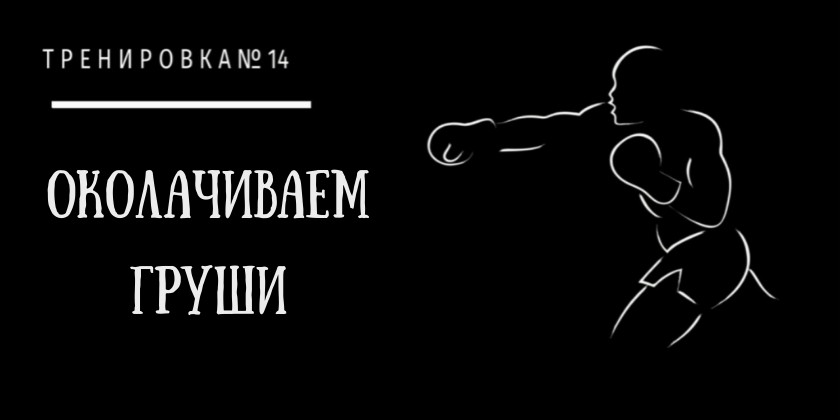 Осваиваем новые виды боксерских груш Виды боксерских груш
